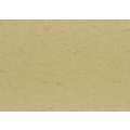 Dokumentenpapier Elefantenhaut, 50 cm x 70 cm, Mindestmenge 5 Bogen, Beige