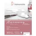 Hahnemühle Harmony Watercolour Aquarellpapier, matt, 8 cm x 10,5 cm, 300 g/m², Block (4-seitig geleimt)