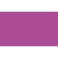 Pentel® Pointliner S40 Fineliner Colour Dye Ink , 0,4 mm, Fuchsia