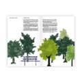 morepic-4