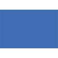 effect® Holzbilderrahmen ''Profil 2500'', 30 cm x 30 cm, Neonblau