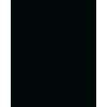 FOLIA® Fotokarton, 300g/qm, 50 x 70 cm, Schwarz
