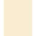 FOLIA® Fotokarton, 300g/qm, 50 x 70 cm, Beige