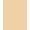 FOLIA® Fotokarton, 300g/qm, 50 x 70 cm, Chamois
