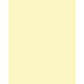 FOLIA® Fotokarton, 300g/qm, 50 x 70 cm, Strohgelb