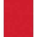 FOLIA® Fotokarton, 300g/qm, 50 x 70 cm, Hochrot