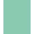 FOLIA® Fotokarton, 300g/qm, 50 x 70 cm, Mint