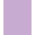 FOLIA® Fotokarton, 300g/qm, 50 x 70 cm, Lila