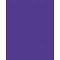 FOLIA® Fotokarton, 300g/qm, 50 x 70 cm, Dunkelviolett