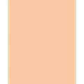 FOLIA® Fotokarton, 300g/qm, 50 x 70 cm, Aprikose