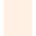 FOLIA® Fotokarton, 300g/qm, 50 x 70 cm, Hellbeige