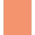FOLIA® Fotokarton, 300g/qm, 50 x 70 cm, Lachs