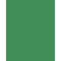 FOLIA® Fotokarton, 300g/qm, 50 x 70 cm, Moosgrün