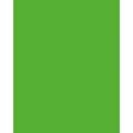 FOLIA® Fotokarton, 300g/qm, 50 x 70 cm, Grasgrün