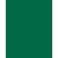 FOLIA® Fotokarton, 300g/qm, 50 x 70 cm, Tannengrün