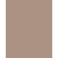 FOLIA® Fotokarton, 300g/qm, 50 x 70 cm, Cappuccino
