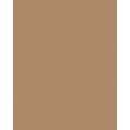 FOLIA® Fotokarton, 300g/qm, 50 x 70 cm, Rehbraun