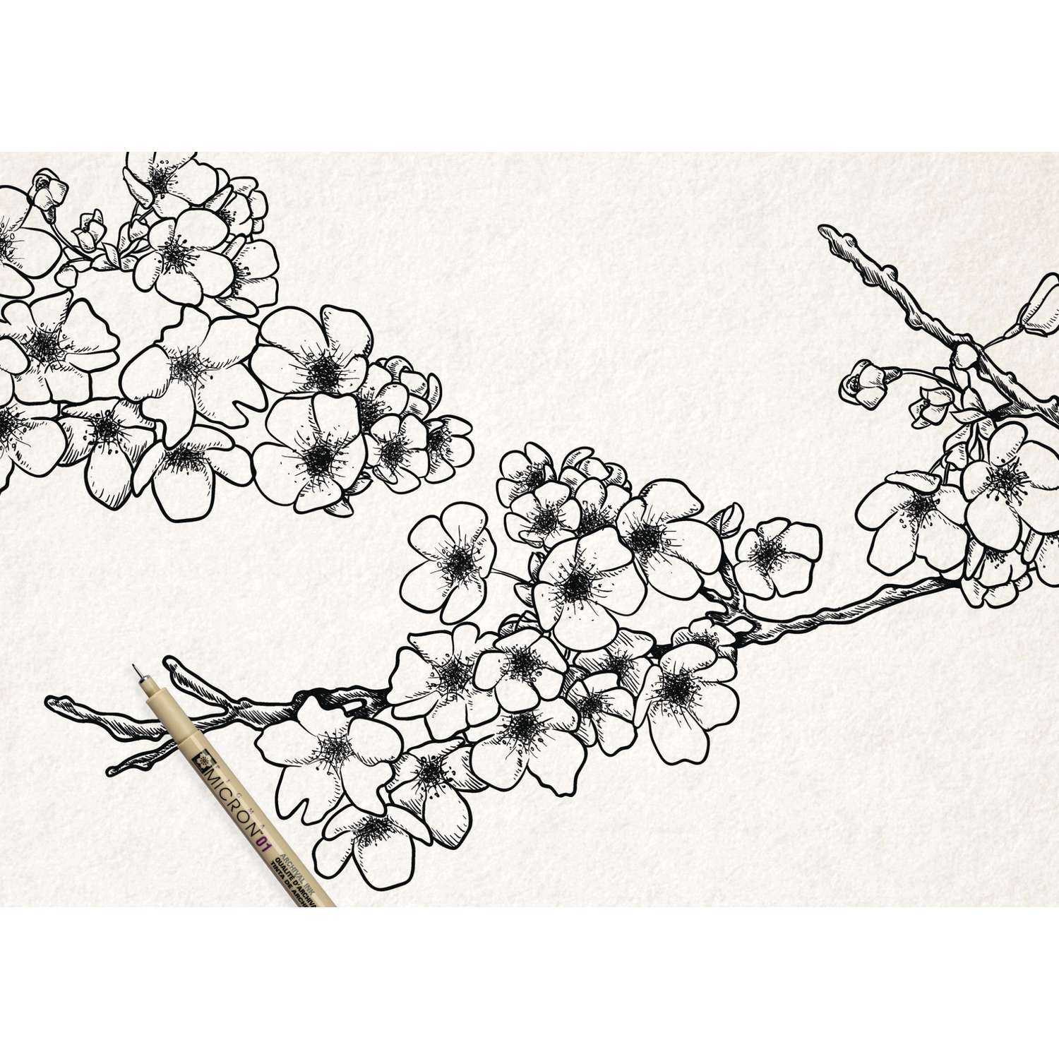SAKURA Micron Fineliner 02 – Schwarzer Zeichenstift Für Präzise Linien & Illustrationen