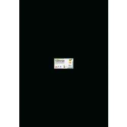 folia® Tonpapier Schwarz
