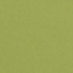 Künstlerpapier LANA Colours, 50 cm x 65 cm, Bogen, Grün