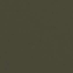 Künstlerpapier LANA Colours, 50 cm x 65 cm, Bogen, Efeu