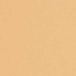 Künstlerpapier LANA Colours, 50 cm x 65 cm, Bogen, Auster