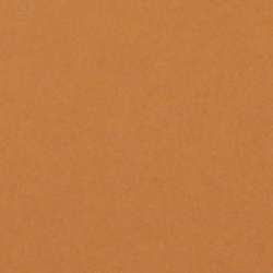 Künstlerpapier LANA Colours, 50 cm x 65 cm, Bogen, Braun