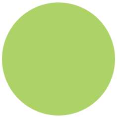 FABER-CASTELL PITT Artist Pen B Tuschemarker, einzeln, Brush, Laubgrün