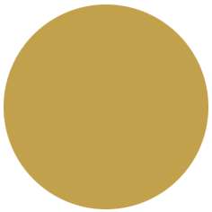 FABER-CASTELL PITT Artist Pen B Tuschemarker, einzeln, Brush, Grüngold