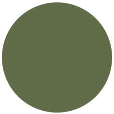 FABER-CASTELL PITT Artist Pen B Tuschemarker, einzeln, Brush, Maigrün