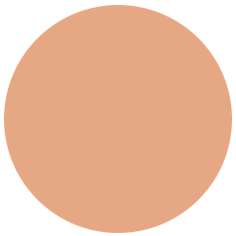 FABER-CASTELL PITT Artist Pen B Tuschemarker, einzeln, Brush, Zimtbraun