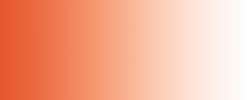 DALER-ROWNEY FW Acrylic Ink Pigmentbasierte Acryltinte, 29,5 ml Flasche, Scharlach