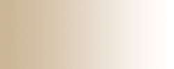 DALER-ROWNEY FW Acrylic Ink Pigmentbasierte Acryltinte, 29,5 ml Flasche, Schimmernd Gold