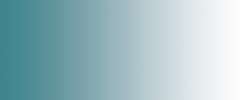 DALER-ROWNEY FW Acrylic Ink Pigmentbasierte Acryltinte, 29,5 ml Flasche, Marineblau
