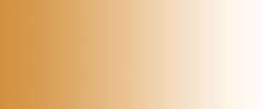 DALER-ROWNEY FW Acrylic Ink Pigmentbasierte Acryltinte, 29,5 ml Flasche, Siena Natur