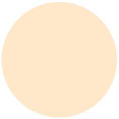 FABER-CASTELL PITT Artist Pen B Tuschemarker, einzeln, Brush, Apricot