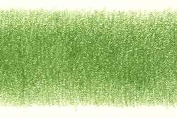 DERWENT Coloursoft Farbstift, einzeln, Farbstift, Pea Green (C430)