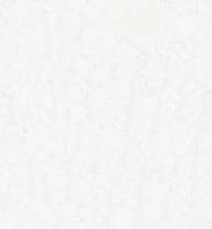 LYRA REMBRANDT® POLYCOLOR Künstler-Farbstift, einzeln, in Einzelfarben, Weiß