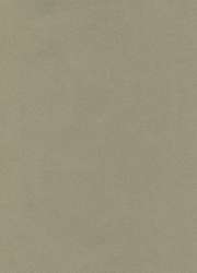 Hahnemühle The Collection Ingres Pastel Echt-Bütten, 10 Bogen, Packung mit 10 Bogen, Grau