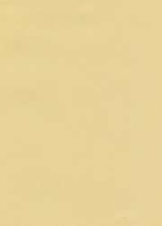 Hahnemühle The Collection Ingres Pastel Echt-Bütten, 10 Bogen, Packung mit 10 Bogen, Kornfarbe