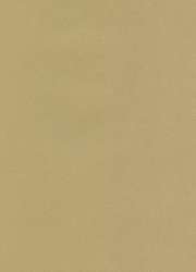 Hahnemühle The Collection Ingres Pastel Echt-Bütten, 10 Bogen, Packung mit 10 Bogen, Sandgrau