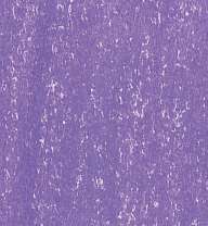 LYRA REMBRANDT® POLYCOLOR Künstler-Farbstift, einzeln, in Einzelfarben, Violett