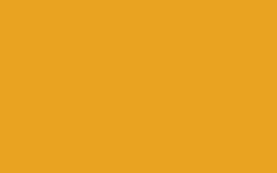 SCHMINCKE College® Linol, 75-ml-Tube, Gelborange