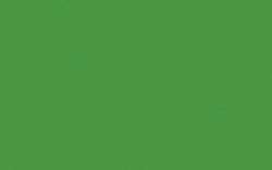 SCHMINCKE College® Linol, 75-ml-Tube, Grün