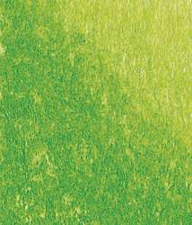 Conté à Paris™ Pastellstifte 1355, einzeln, Pastellstift, Hellgrün