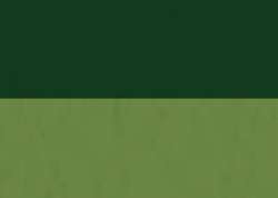 SENNELIER abstract® acrylic ink, Acryltusche, 30 ml, Hookersgrün