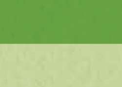 SENNELIER abstract® acrylic ink, Acryltusche, 30 ml, Gelbgrün