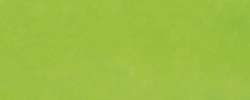Liquitex® Professional Acrylic Ink flüssige Acrylfarbe, einzeln, 30-ml-Flasche, Grün fluoreszierend