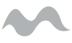 STAEDTLER® pigment soft brush pen 372, einzeln, Einzelmarker, Kaltgrau medium