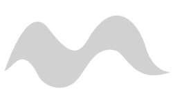 STAEDTLER® pigment soft brush pen 372, einzeln, Einzelmarker, Kaltgrau hell